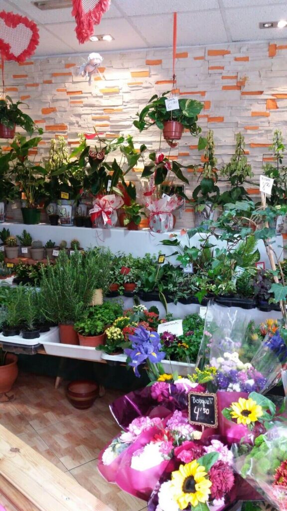 Las flores de verano: color, frescura y emociones para cualquier ocasión 6 floristeria en reus gal2 3 1