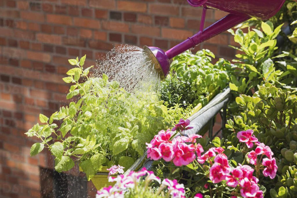 Cómo cuidar un ramo de flores para que dure más tiempo 8 flower
